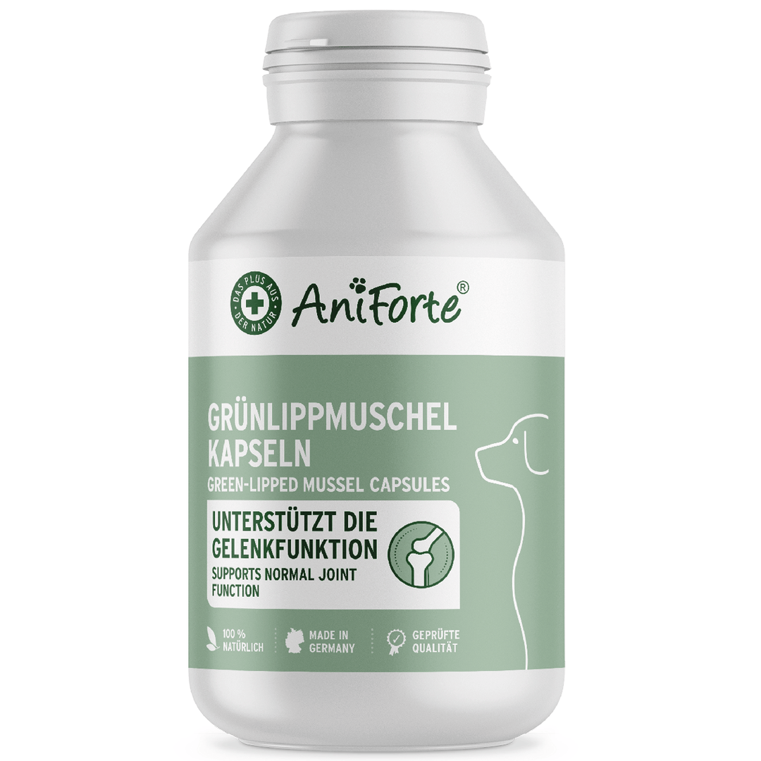 Aniforte Green Lipped Mussel Capsules for Dogs