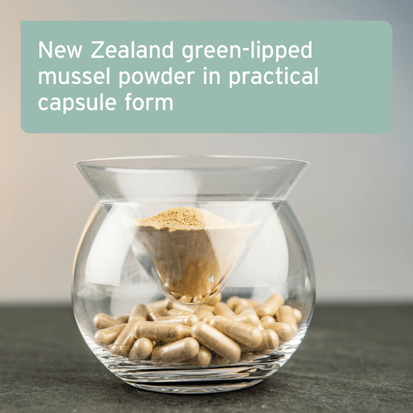 Aniforte Green Lipped Mussel Capsules for Dogs
