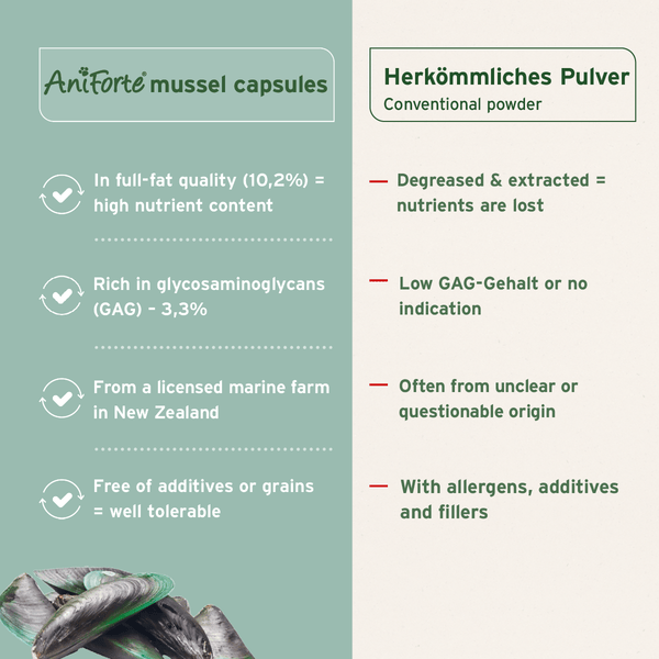 Aniforte Green Lipped Mussel Capsules for Dogs