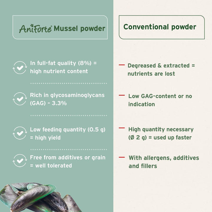 Aniforte Green Lipped Mussel Powder for Dogs and Cats - Joint Support