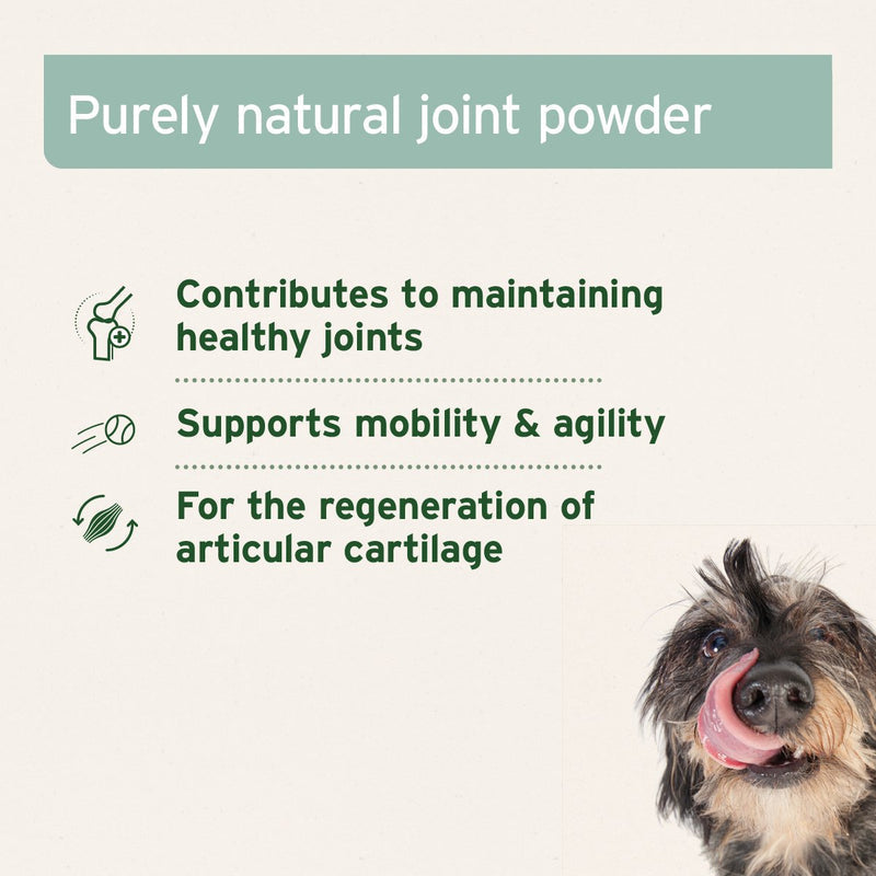 Aniforte Green Lipped Mussel Powder for Dogs and Cats - Joint Support