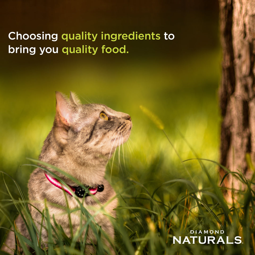 DIAMOND NATURALS INDOOR CAT FORMULA CHICKEN & RICE 1KG