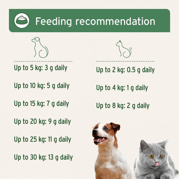 Aniforte Ground Beef Bones - Natural Calcium Supplement for Dogs &amp; Cats - 500g