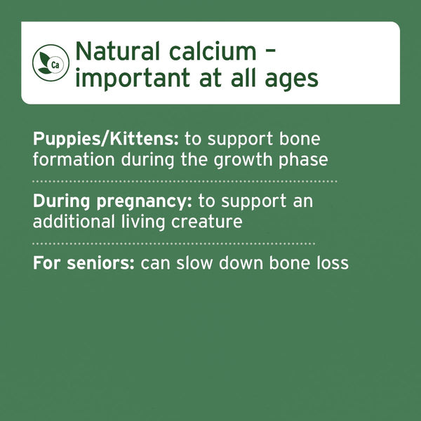 Aniforte Ground Beef Bones - Natural Calcium Supplement for Dogs &amp; Cats - 500g