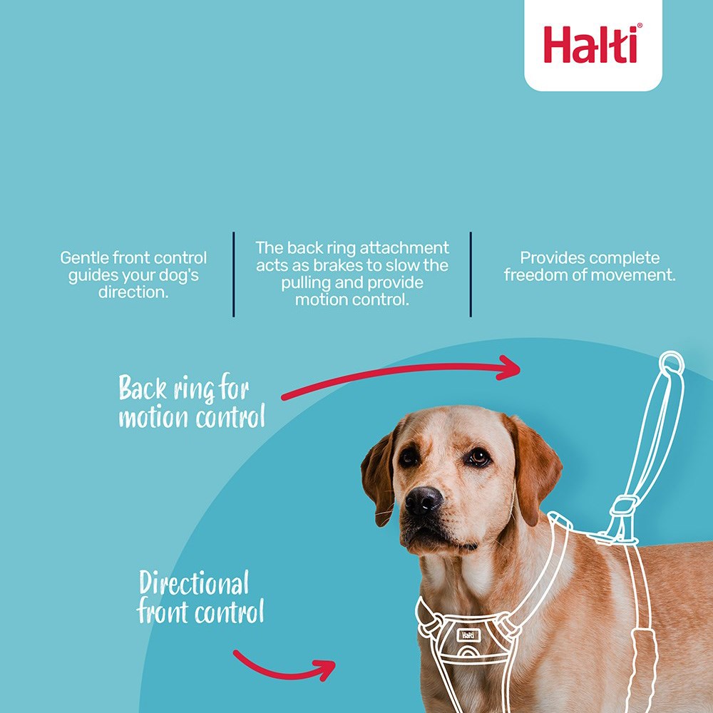Company Of Animals Halti No Pull Harness Green