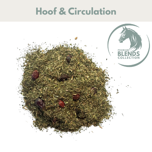 Horse Straights Direct Healthy Hoof Support Blend 1kg