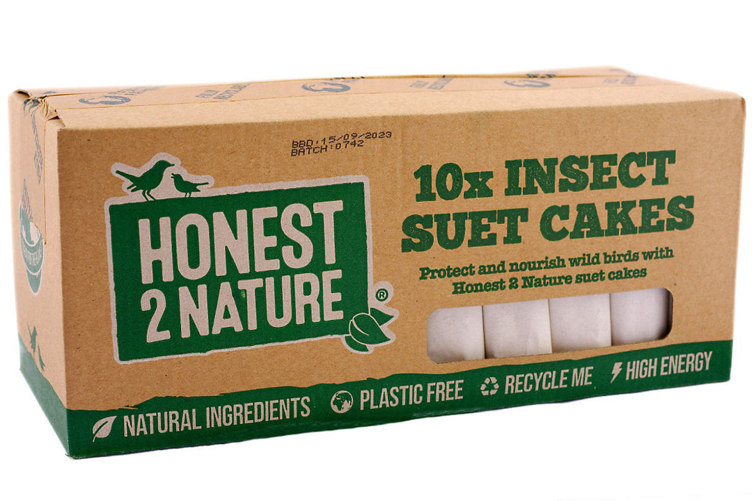 Suet To Go Insect Suet Block Suet Cakes Honest 2 Nature - Pack of 10