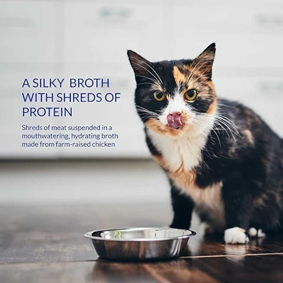 CIAO Broth Chicken with Salmon Recipe Cat Wet Pouches 40gx12