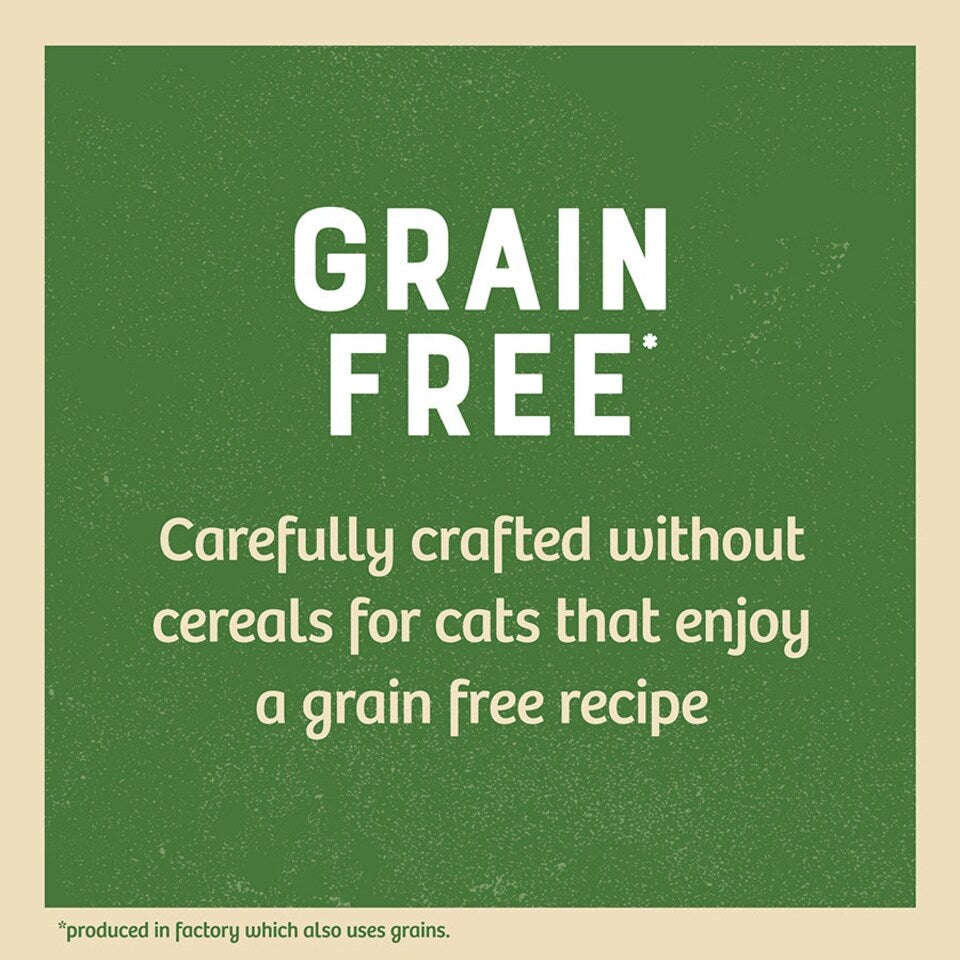 James Wellbeloved Senior Cat Grain Free Turkey In Gravy 12 X 85G