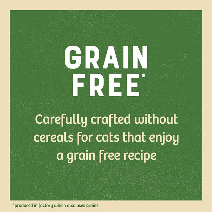 James Wellbeloved Senior Cat Grain Free Turkey In Gravy 12 X 85G