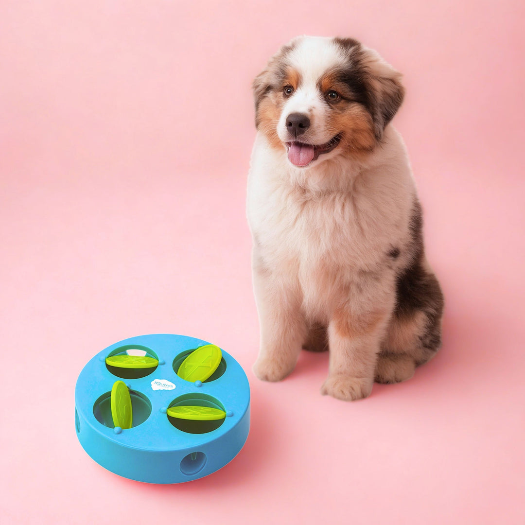 iQuties Active Training Treat Dispenser