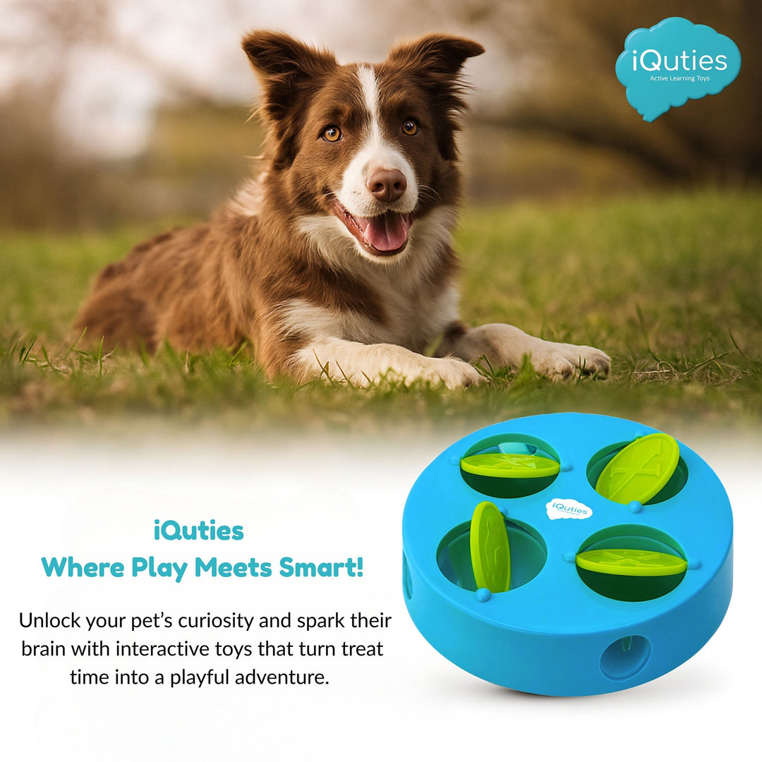 iQuties Active Training Treat Dispenser