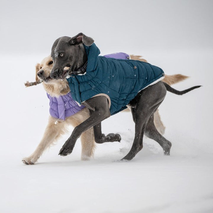 GF Pet Elasto-Fit Nordic Parka with InFiber Dark Teal