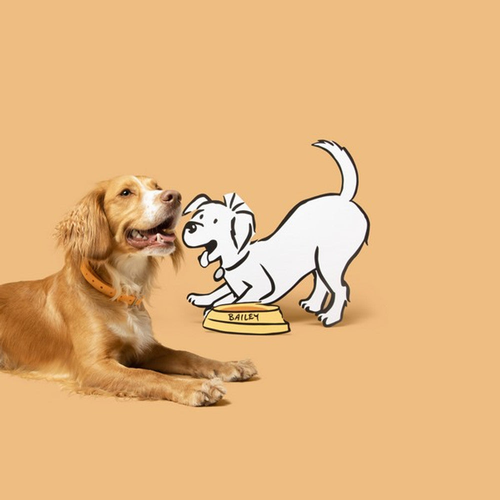 Barking Heads All Hounder Bowl Lickin' Goodness Chicken, 2KG