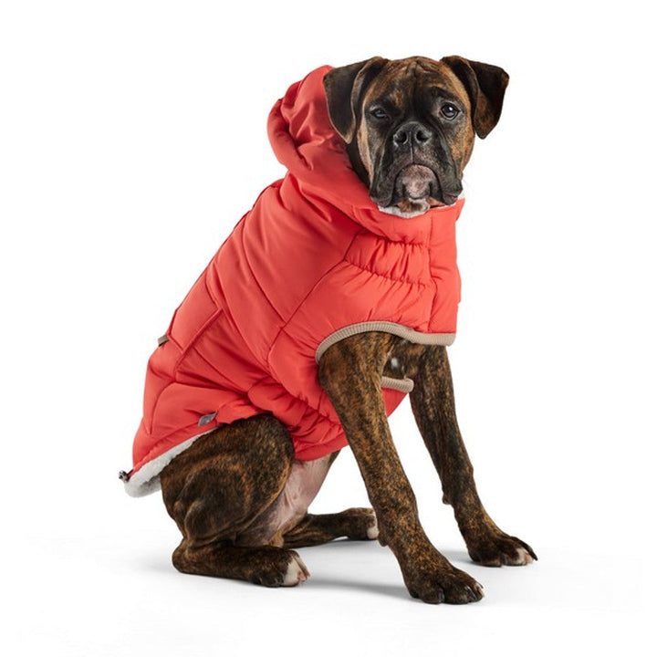 GF Pet Elasto-Fit Nordic Parka with InFiber Cayenne