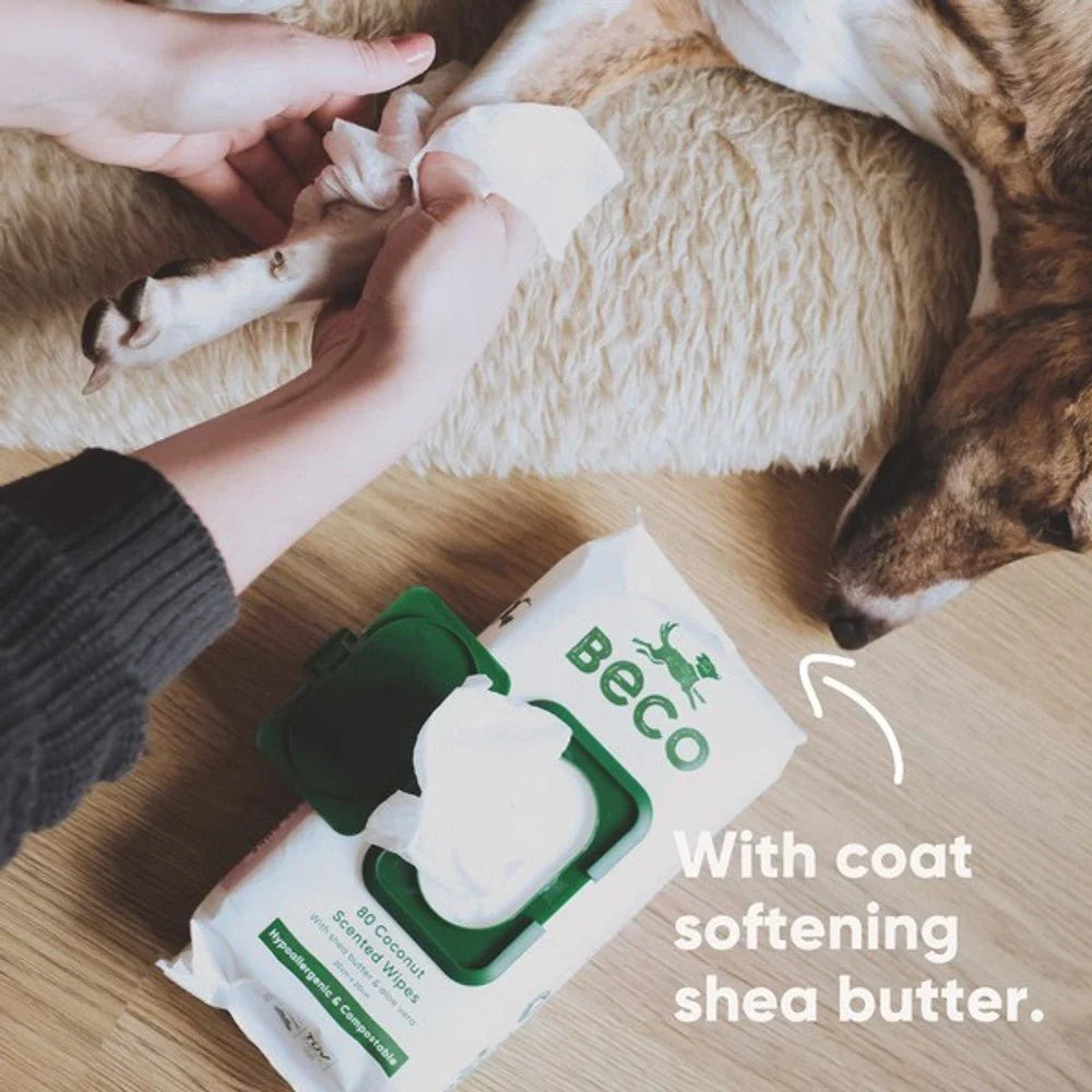 Beco Bamboo Coconut Scented Dog Wipes 80'S