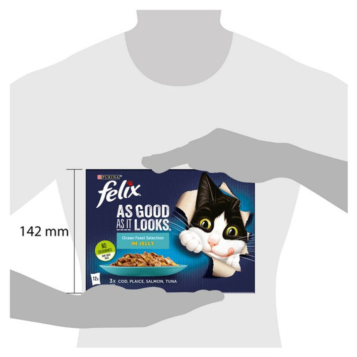 Felix As Good As It Looks Ocean Feast Selection In Jelly 12 X 85G