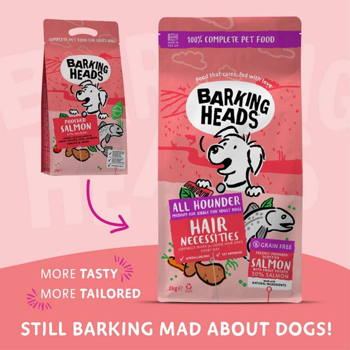 Barking Heads All Hounder Hair Necessities Salmon 12kg