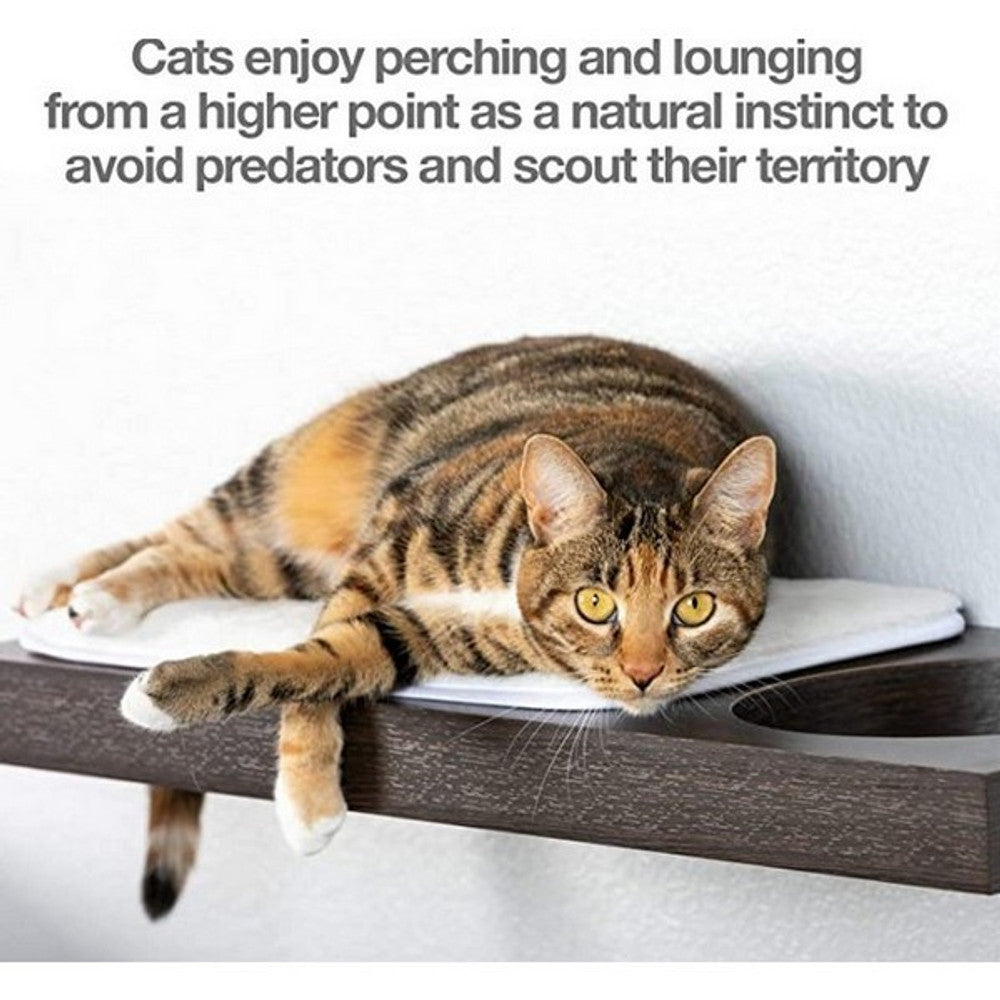 PetFusion Wall Activity Shelf Medium