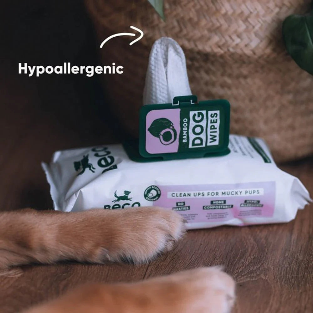 Beco Bamboo Coconut Scented Dog Wipes 80'S