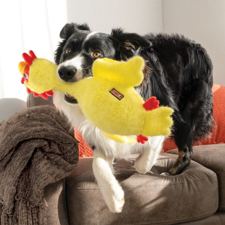 Kong Scruffs Chicken Medium Large