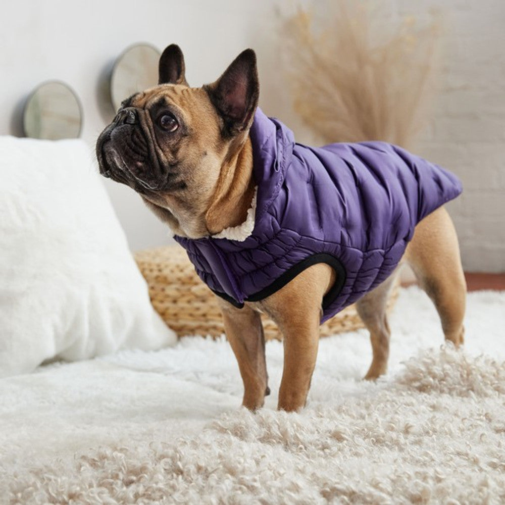 GF Pet Elasto-Fit Cloud Parka Purple