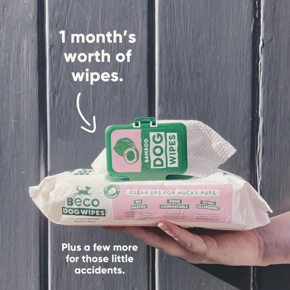 Beco Bamboo Coconut Scented Dog Wipes 80'S