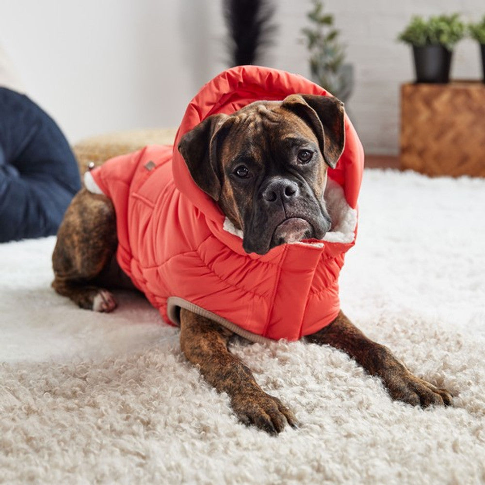 GF Pet Elasto-Fit Nordic Parka with InFiber Cayenne