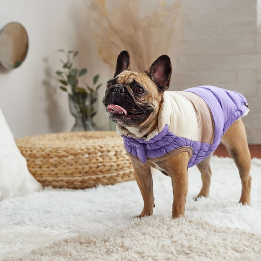 GF Pet Elasto-Fit Colour Block Puffer Purple