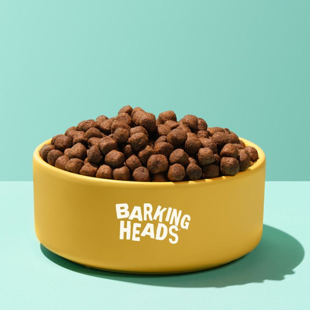 Barking Heads All Hounder Hair Necessities Salmon 12kg