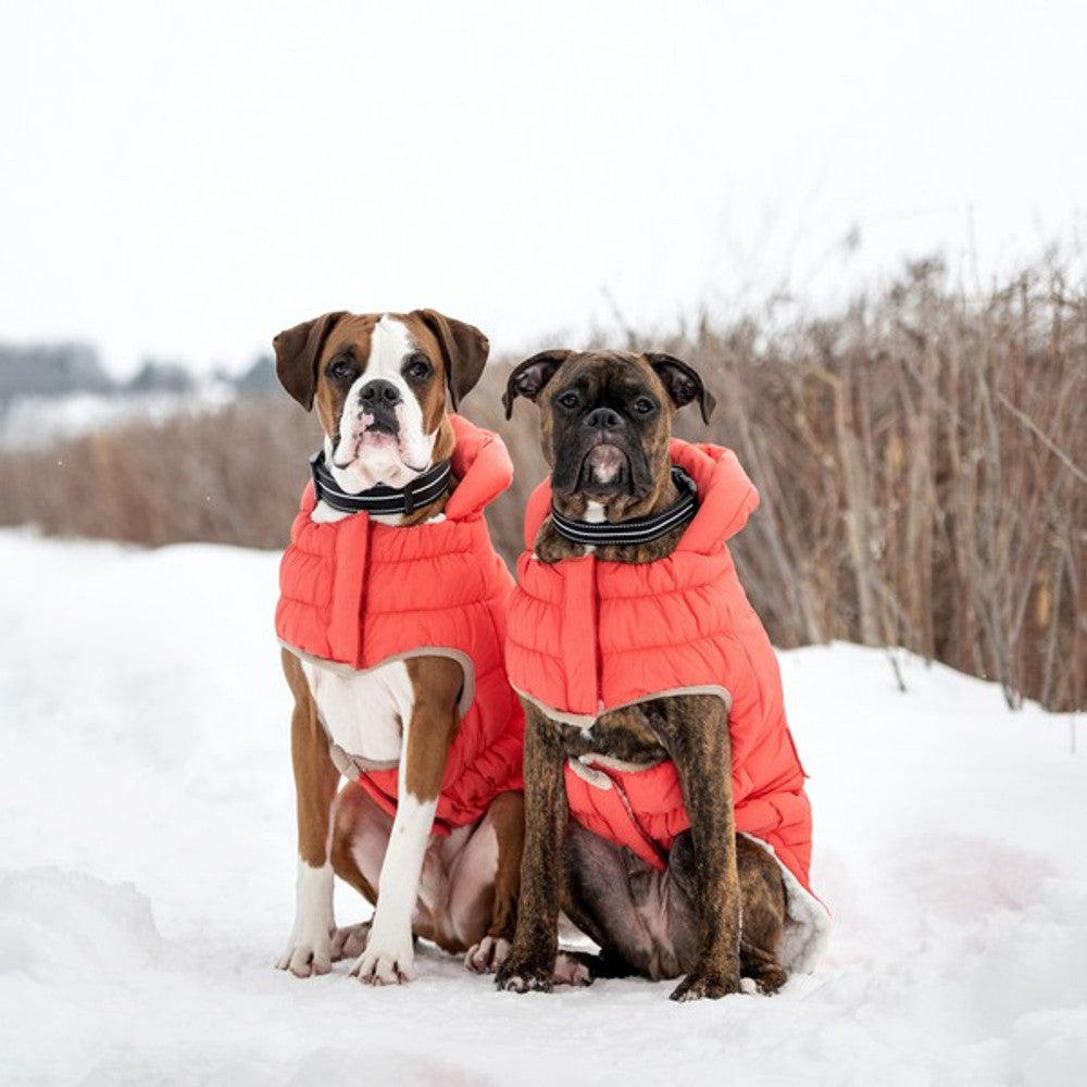 GF Pet Elasto-Fit Nordic Parka with InFiber Cayenne