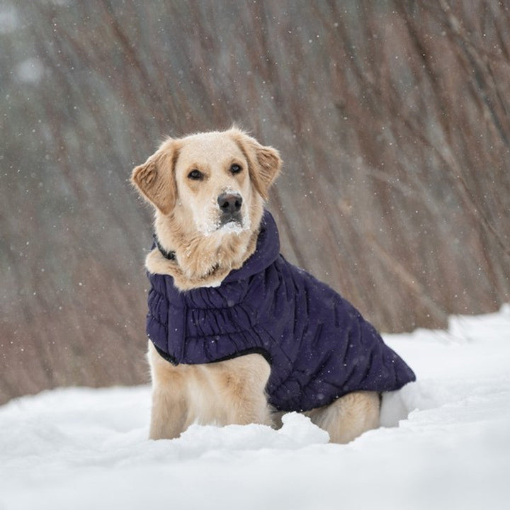 GF Pet Elasto-Fit Cloud Parka Purple