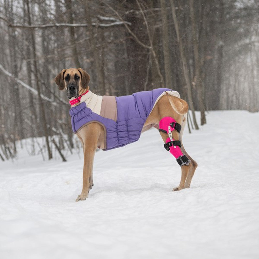 GF Pet Elasto-Fit Colour Block Puffer Purple