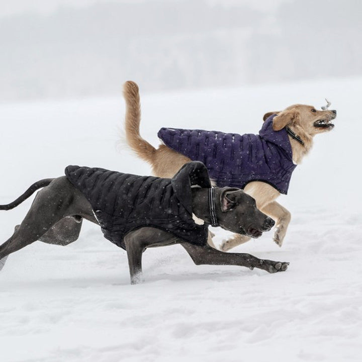 GF Pet Elasto-Fit Cloud Parka Black