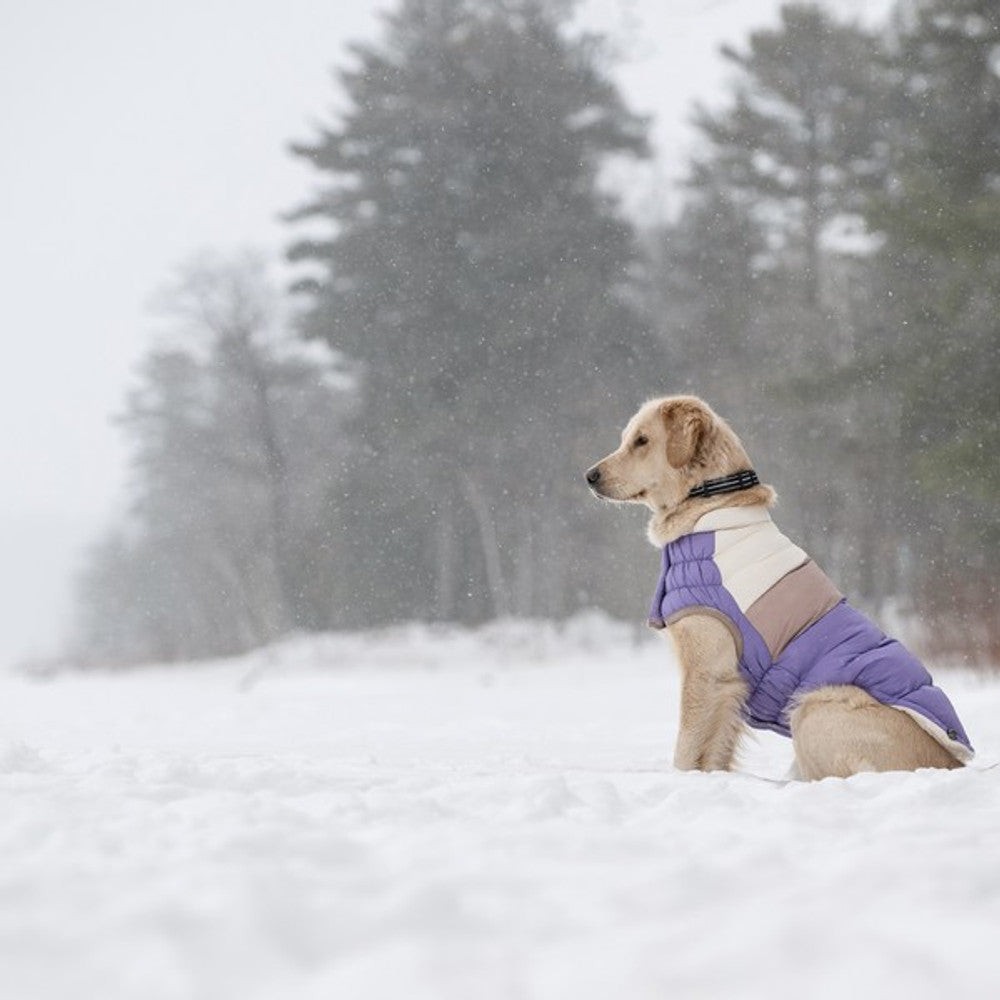 GF Pet Elasto-Fit Colour Block Puffer Purple