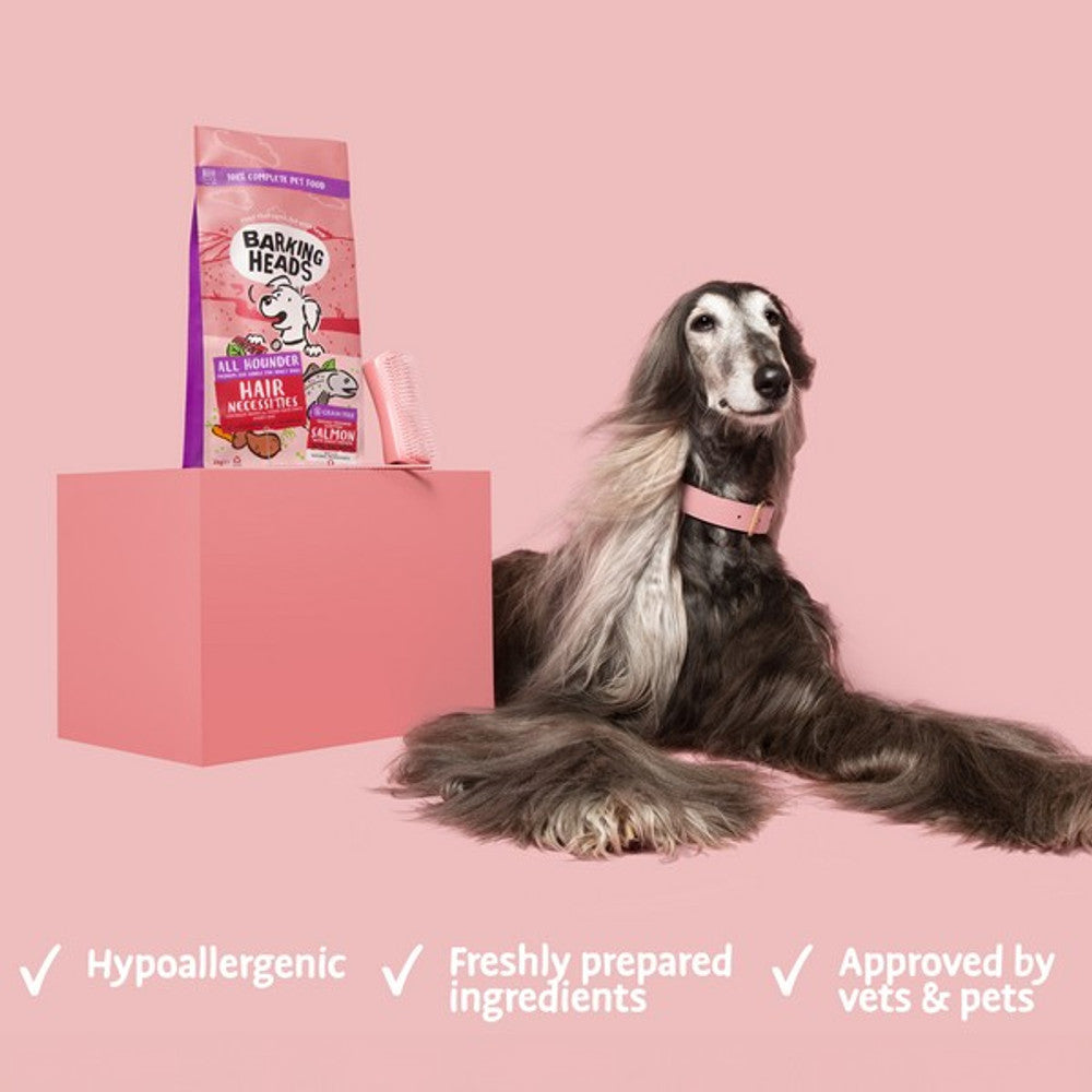 Barking Heads All Hounder Hair Necessities Salmon 12kg