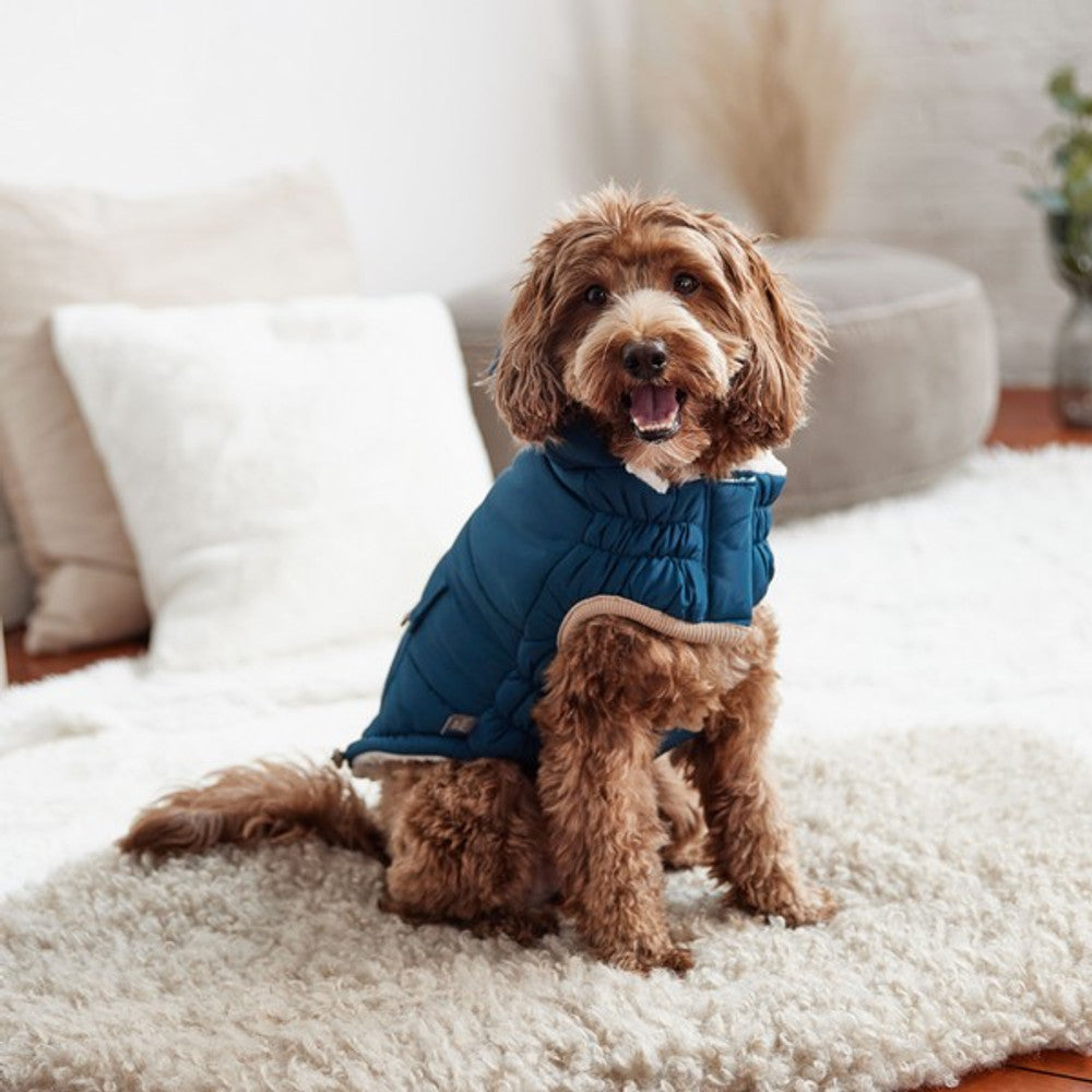 GF Pet Elasto-Fit Nordic Parka with InFiber Dark Teal
