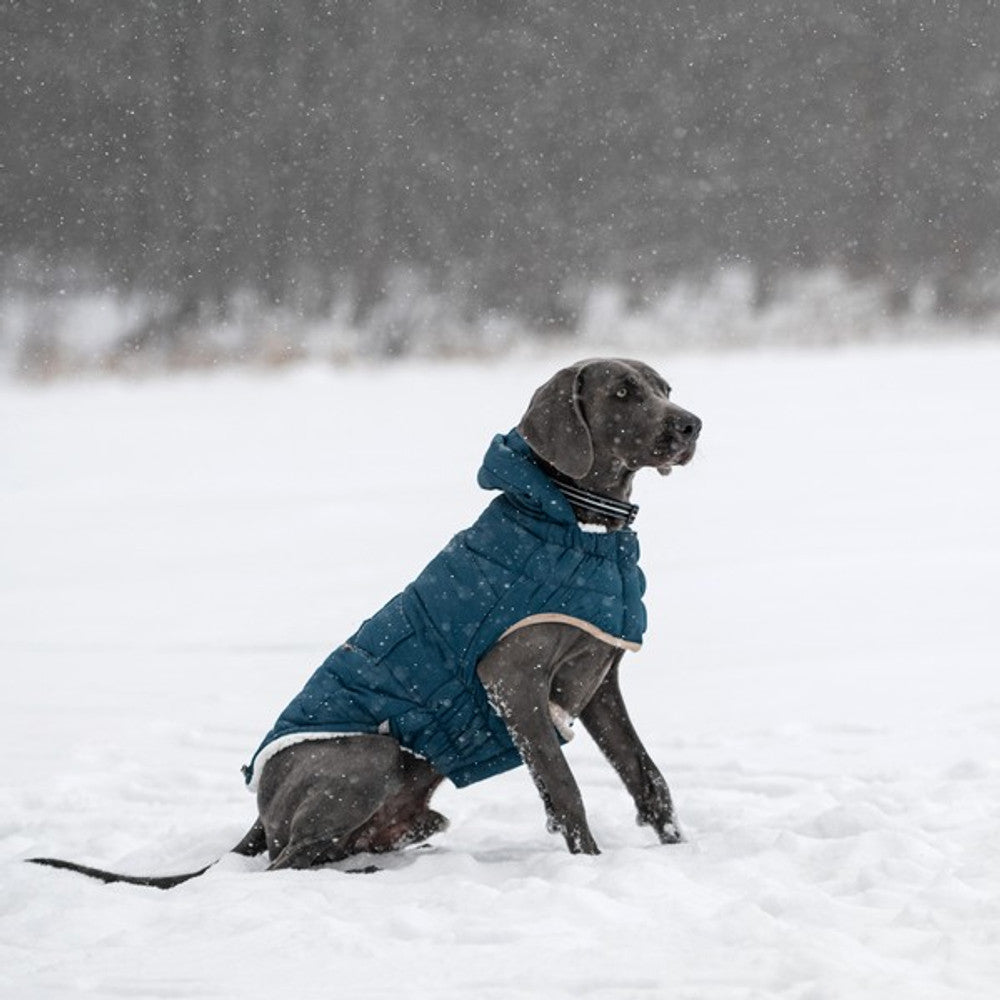 GF Pet Elasto-Fit Nordic Parka with InFiber Dark Teal
