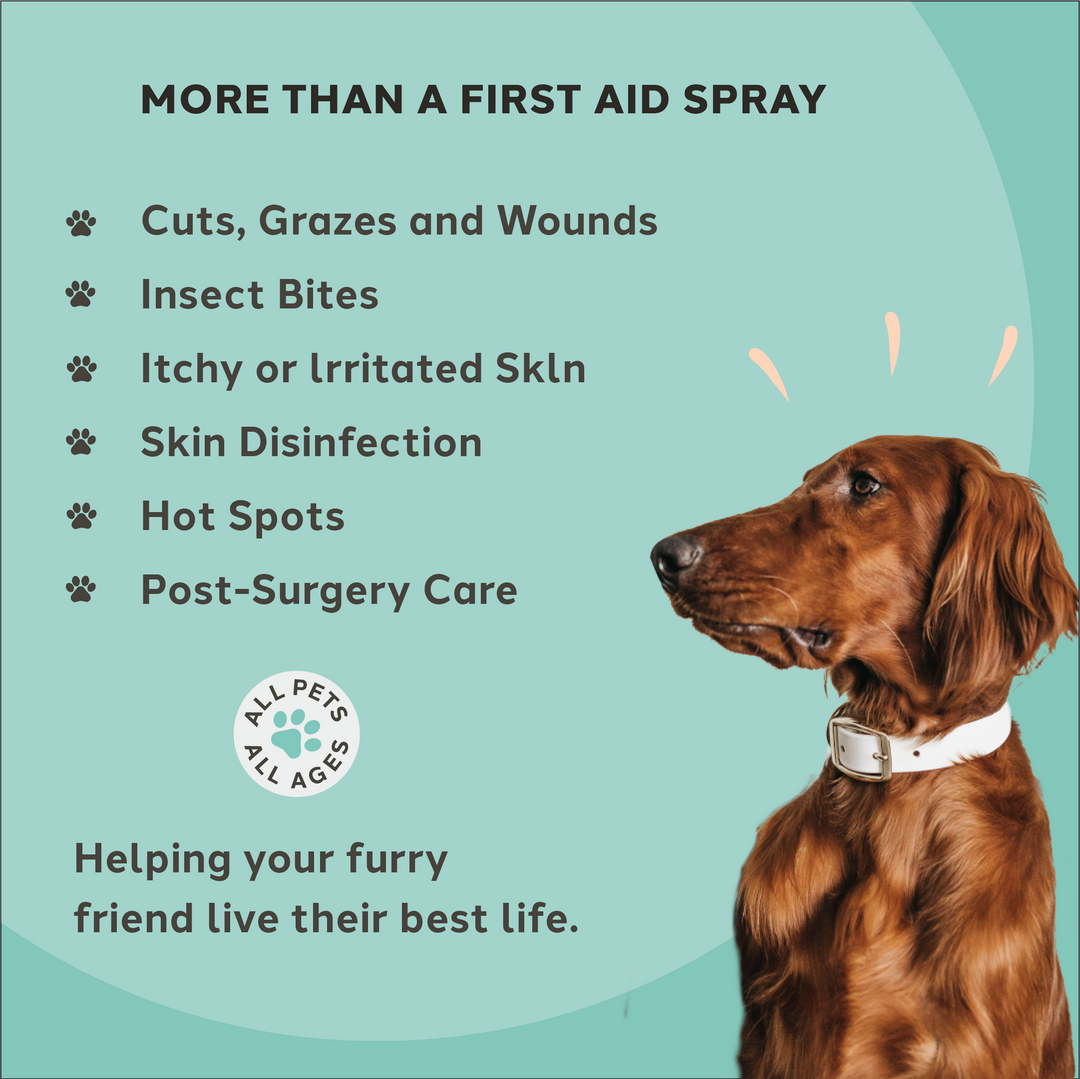 Charlie The Vet Antiseptic Wound & Skin Care Spray for All Animals 100ml
