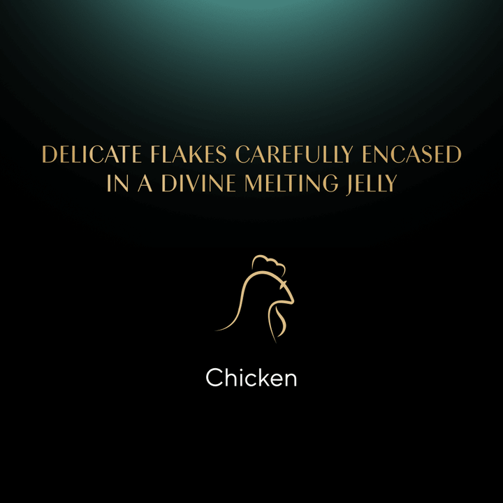 Sheba Fine Flakes Chicken In Jelly, 22 X 85G