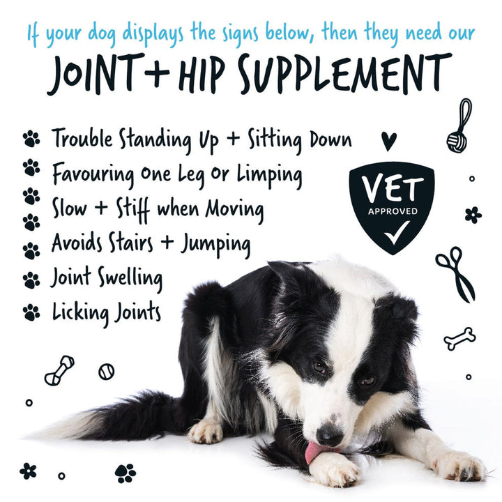 Bugalugs Joint & Hip Supplement For Dogs 80g