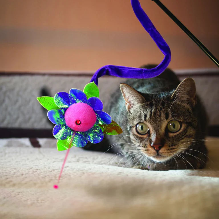 KONG Cat Laser Teaser Assorted Characters