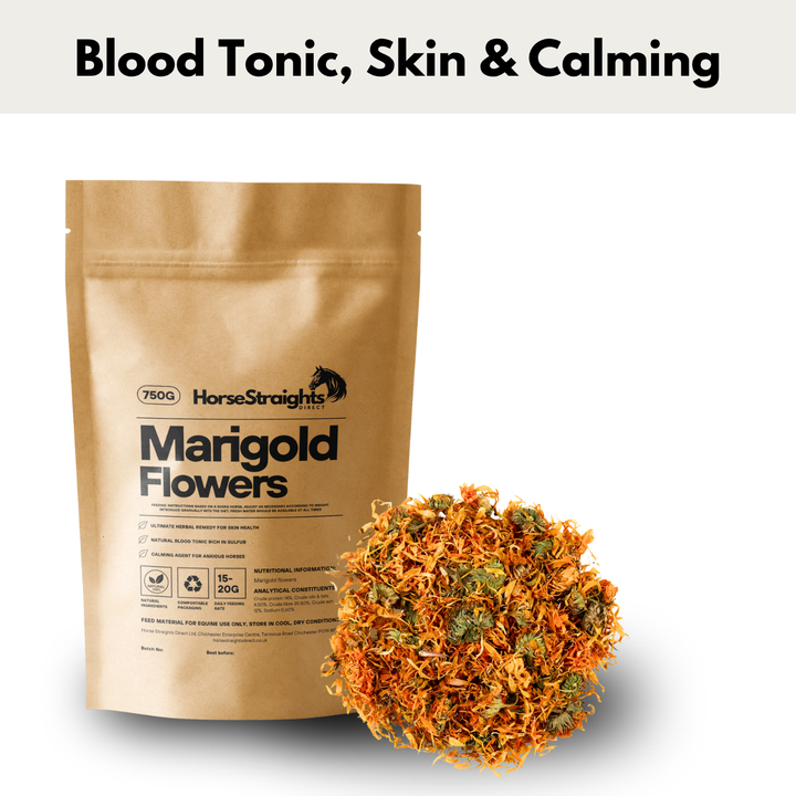 Horse Straights Direct Marigold Flowers 750gm