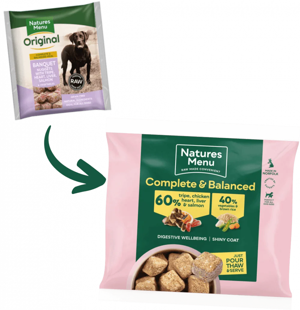 Natures Menu 60/40 Tripe, Chicken Heart, Liver, Salmon, Vegetables and Brown Rice 1KG For Adult Dogs - Ormskirk Pets