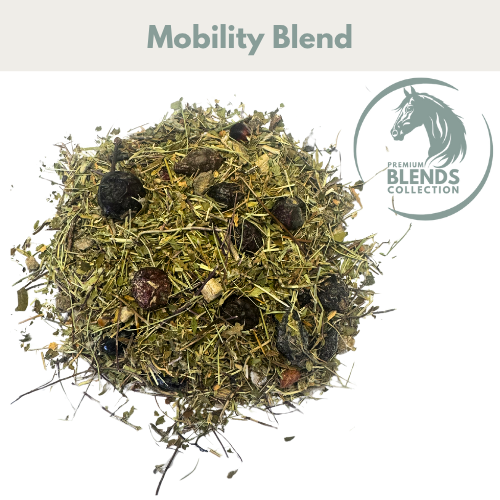 Horse Straights Direct Mobility Blend 1kg