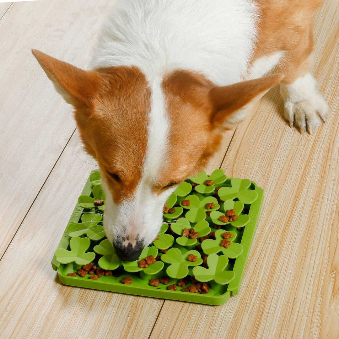 Tall Tails Spring Clover Foraging Mat