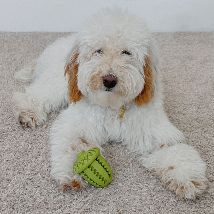 Tall Tails Natural Rubber Acorn Toy