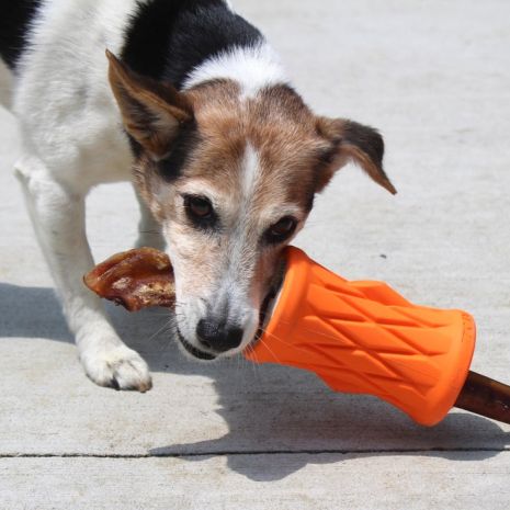 Tall Tails Natural Rubber Trunk Toy