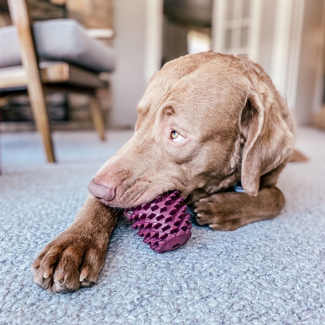Tall Tails Natural Rubber Pinecone Toy