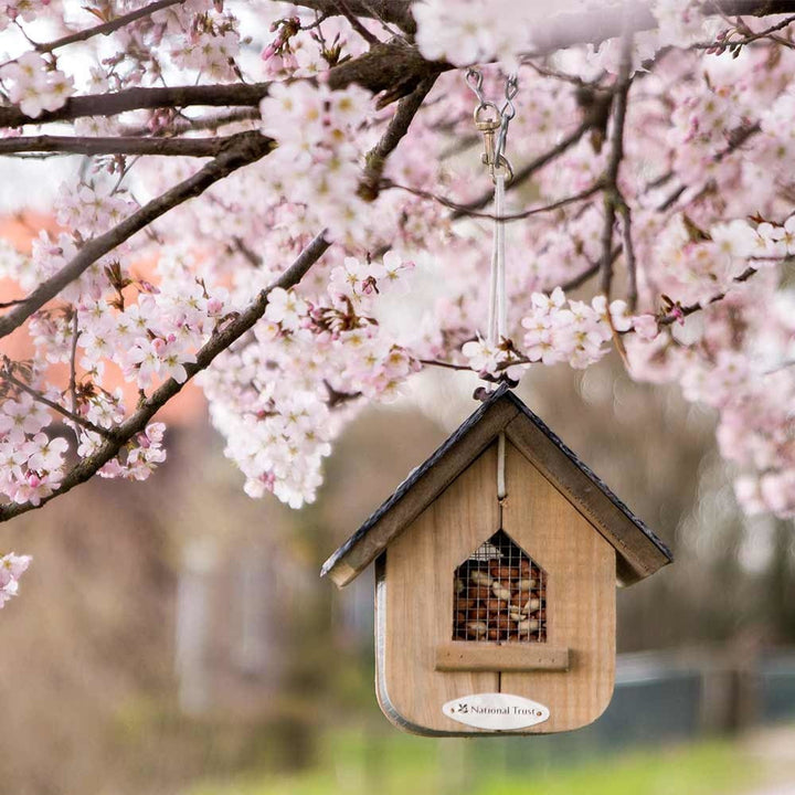 National Trust Jupiter Slate Peanut And Suet Feeder
